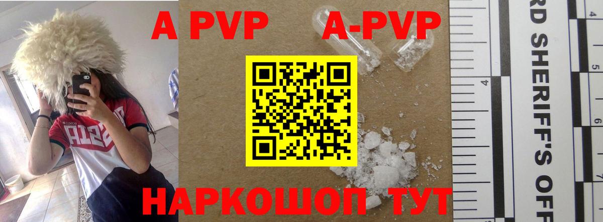Alpha PVP СК КРИС Гудермес