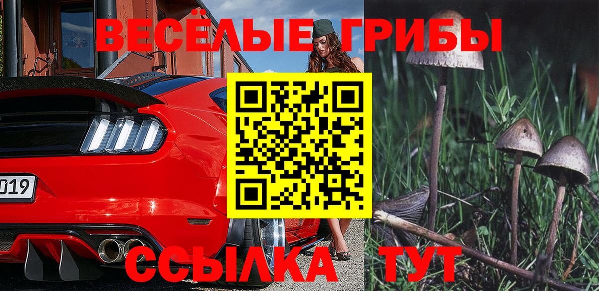 Гудермес  Галлюциногенные грибы ЛСД  Вход с VPN 