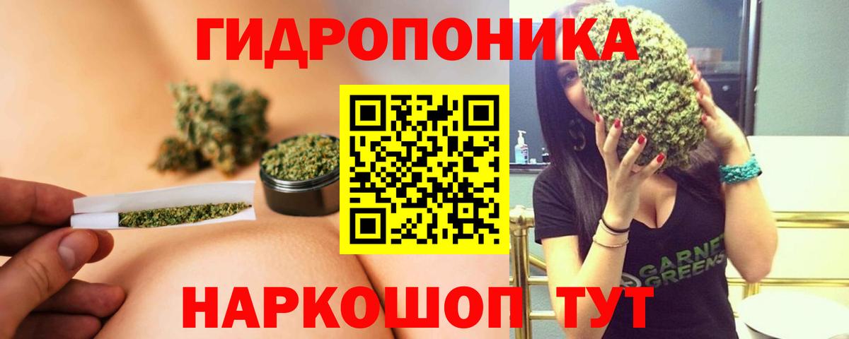 Конопля тримм Гудермес